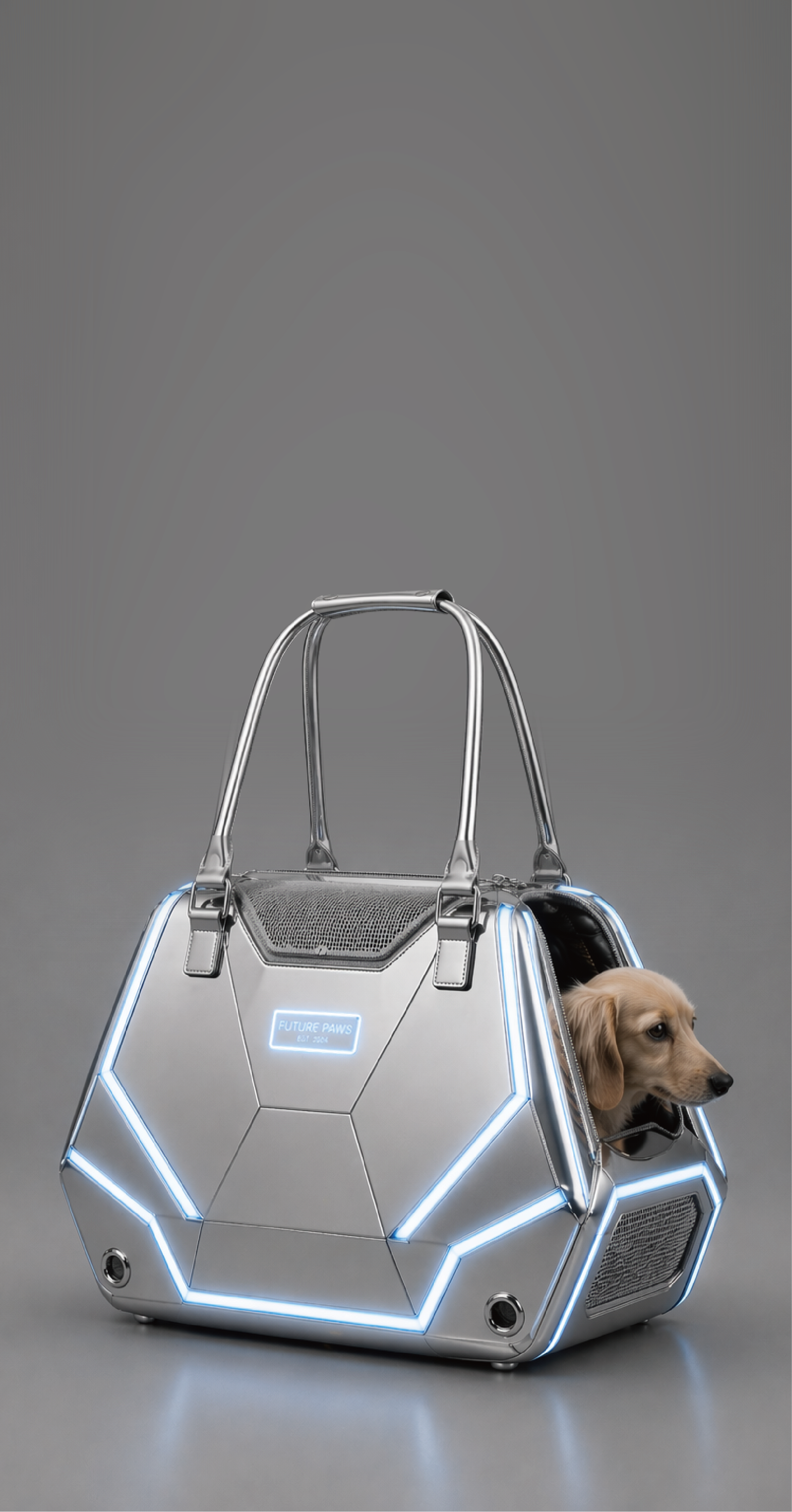 New era pet collection