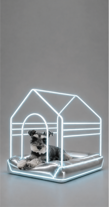 New era pet collection